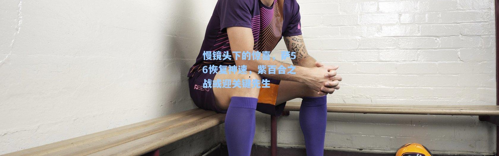 壹号娱乐app下载_慢镜头下的惊喜，萨56恢复神速，紫百合之战或迎关键先生