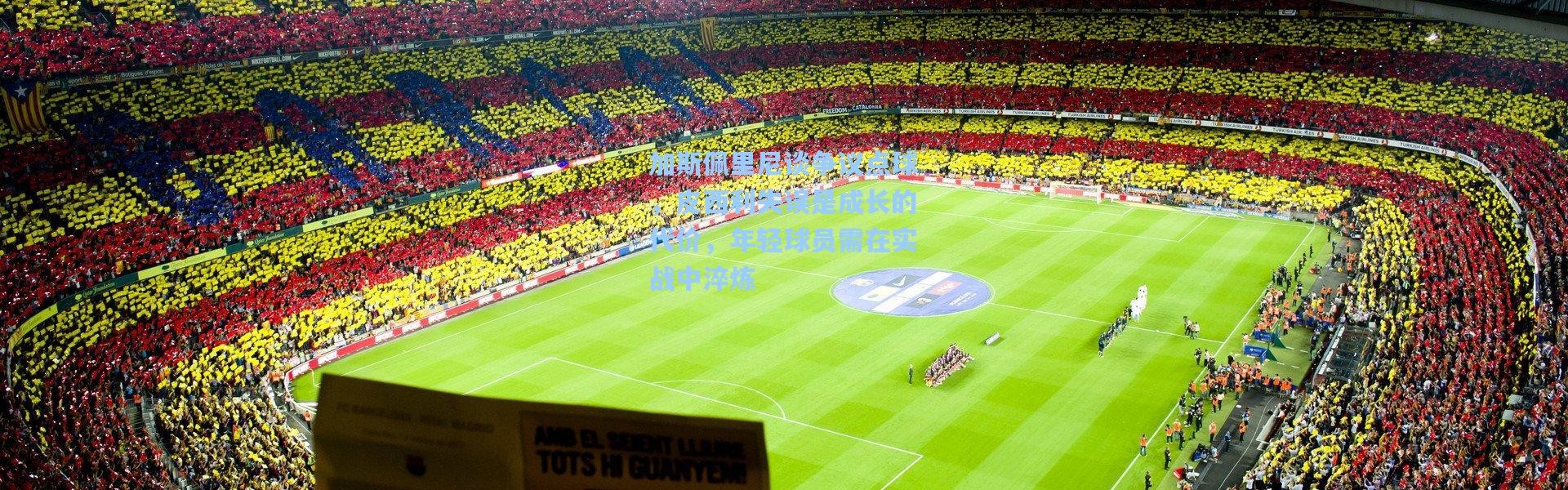 壹号娱乐app下载：加斯佩里尼谈争议点球，皮西利失误是成长的代价，年轻球员需在实战中淬炼