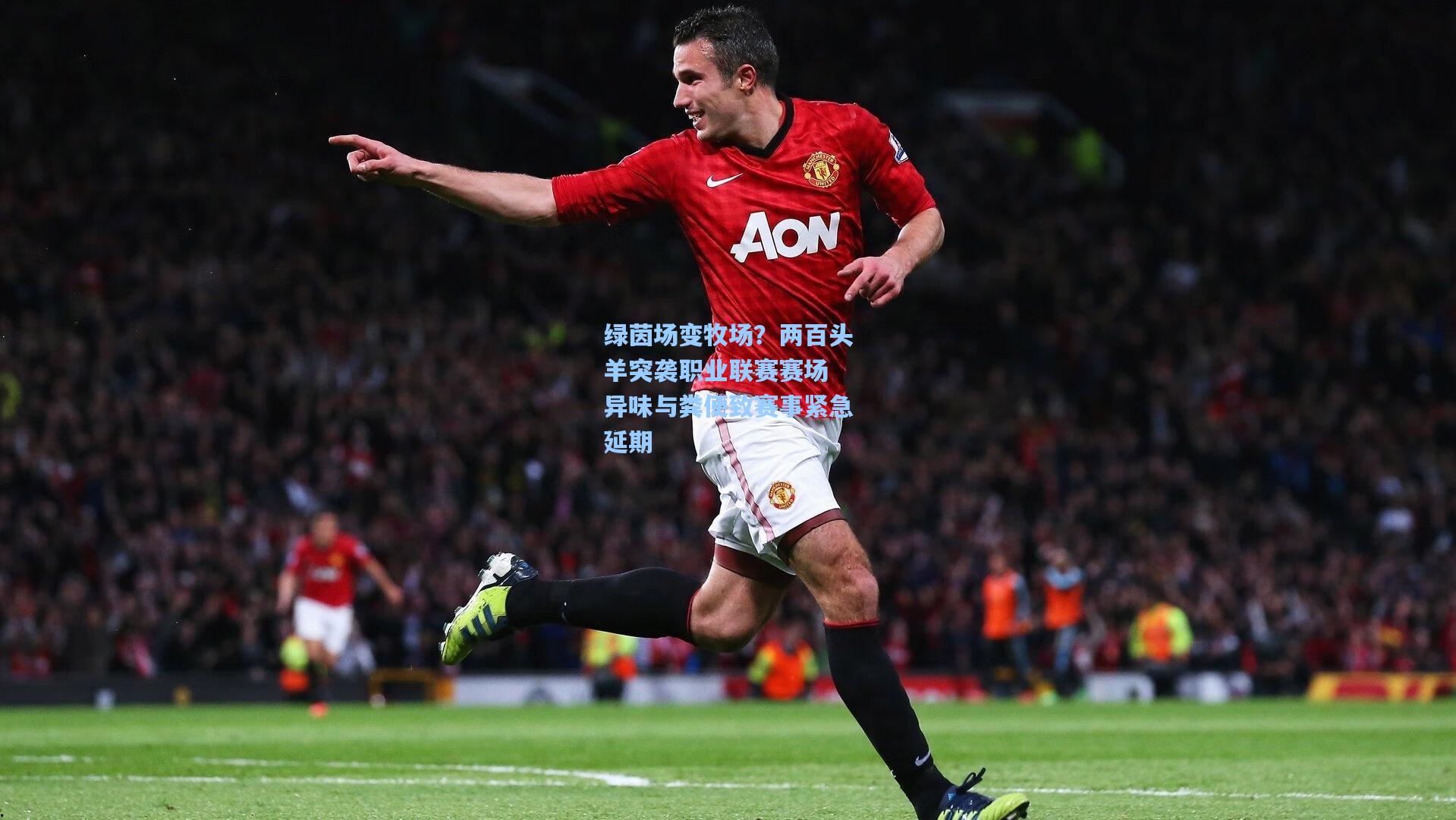 绿茵场变牧场？两百头羊突袭职业联赛赛场 异味与粪便致赛事紧急延期